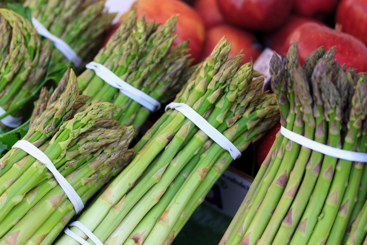 Comment dénicher des asperges à prix doux : les secrets d'un producteur