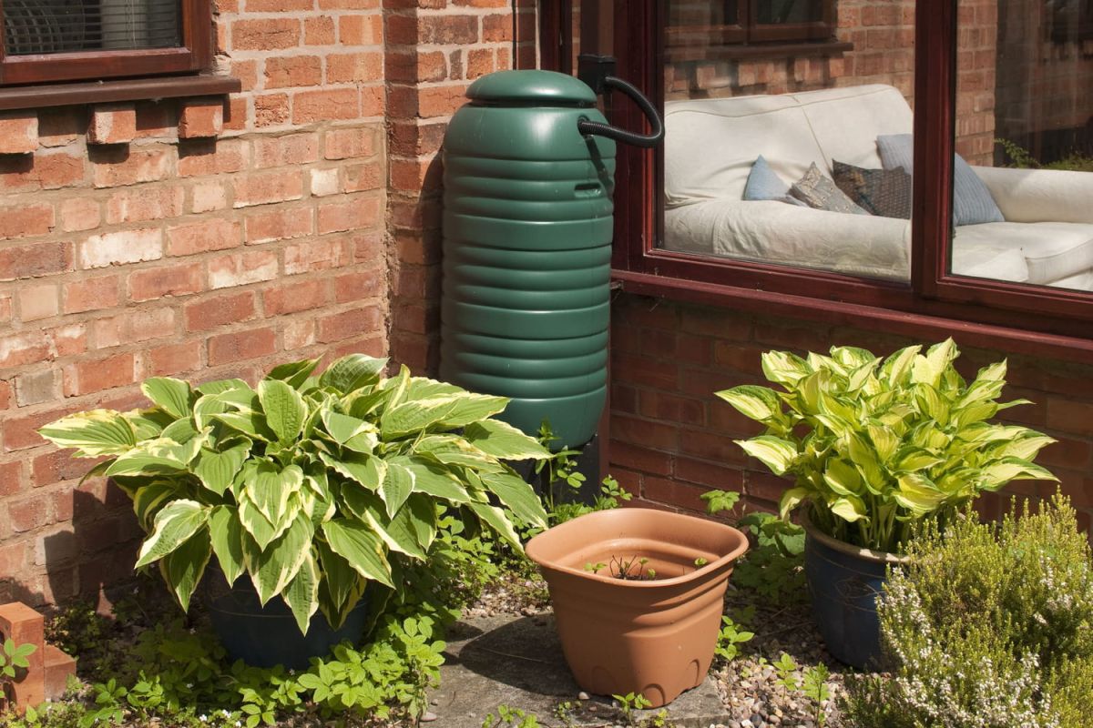 Transformez votre jardin avec un récupérateur d'eau de pluie