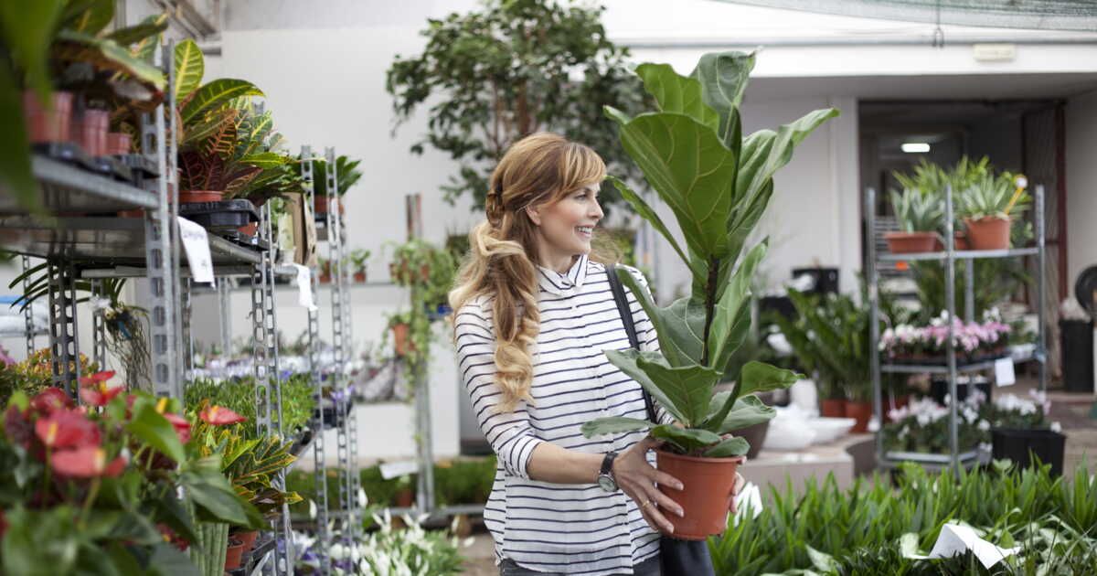 Astuces pour acheter des plantes à petit prix