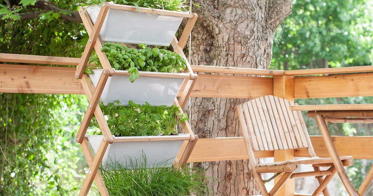 Le potager vertical : une révolution dans nos jardins