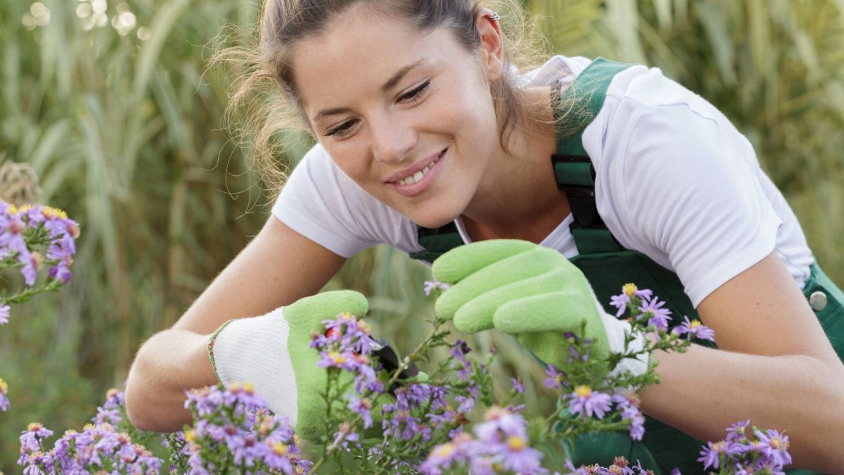 Découvrir quel jardinier sommeille en vous