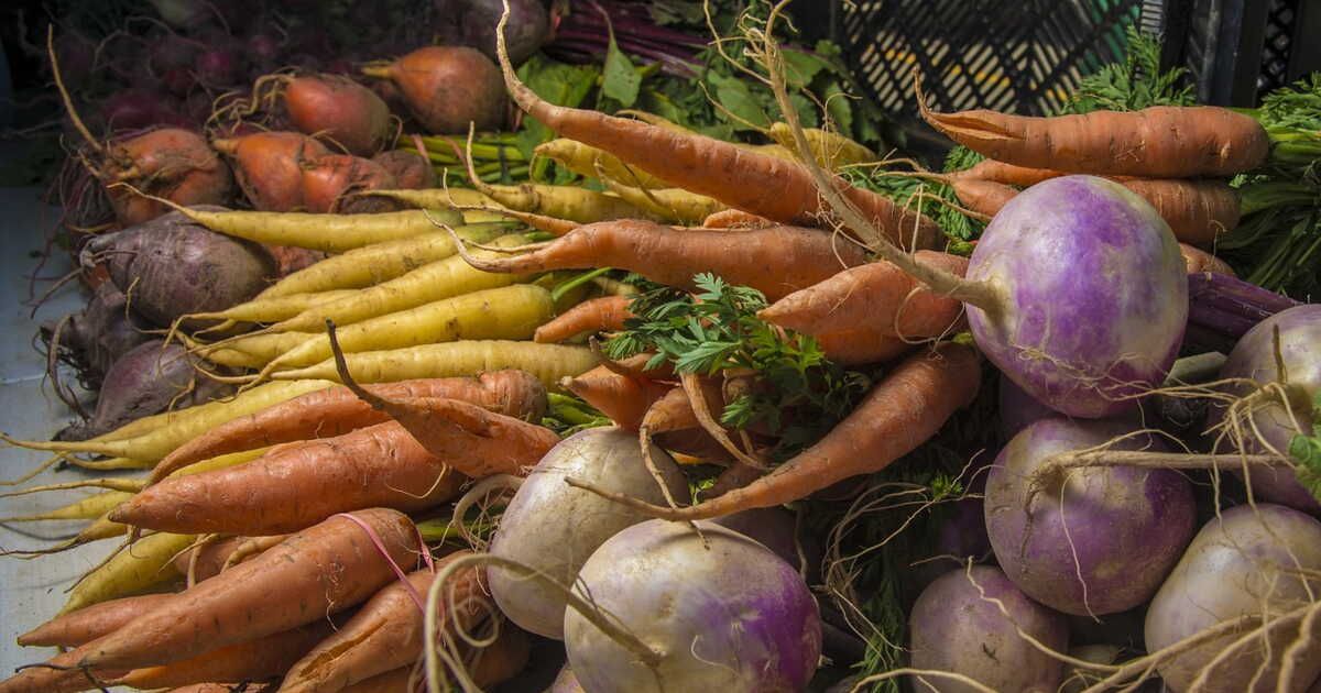 Comment bien congeler les navets