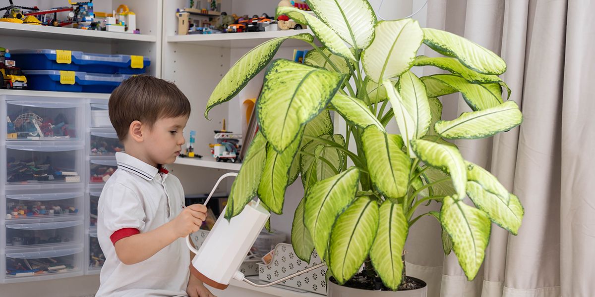 Des plantes dans la chambre des enfants : un choix bénéfique ou risqué ?
