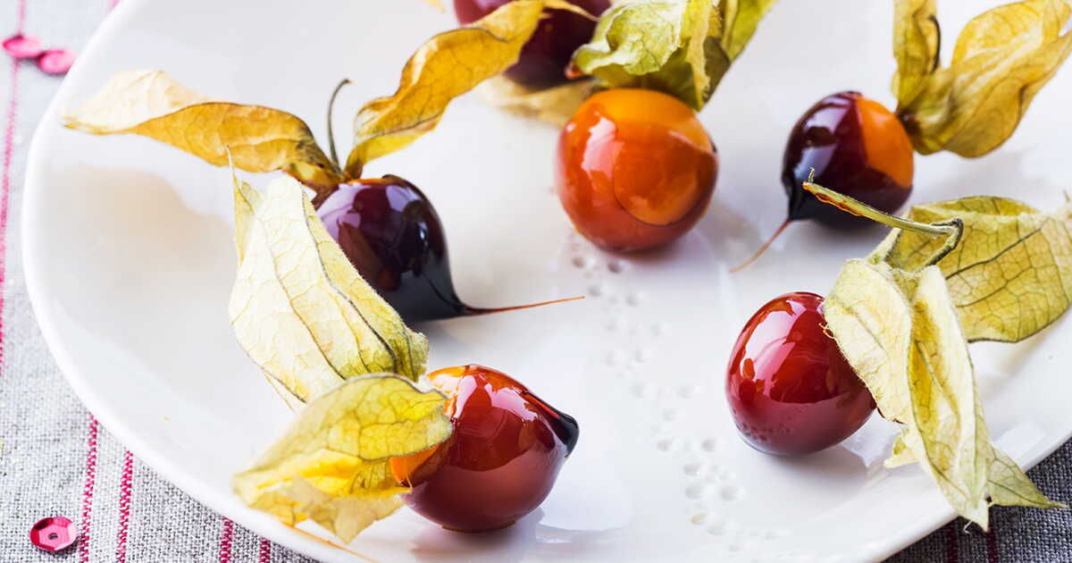 Découvrez les secrets de la physalis d'amour