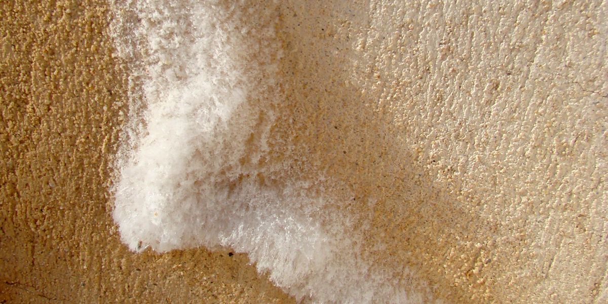 Comprendre et traiter le salpêtre sur vos murs