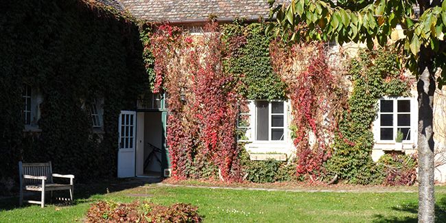 Le viager : une solution innovante pour les seniors en quête de sécurité financière