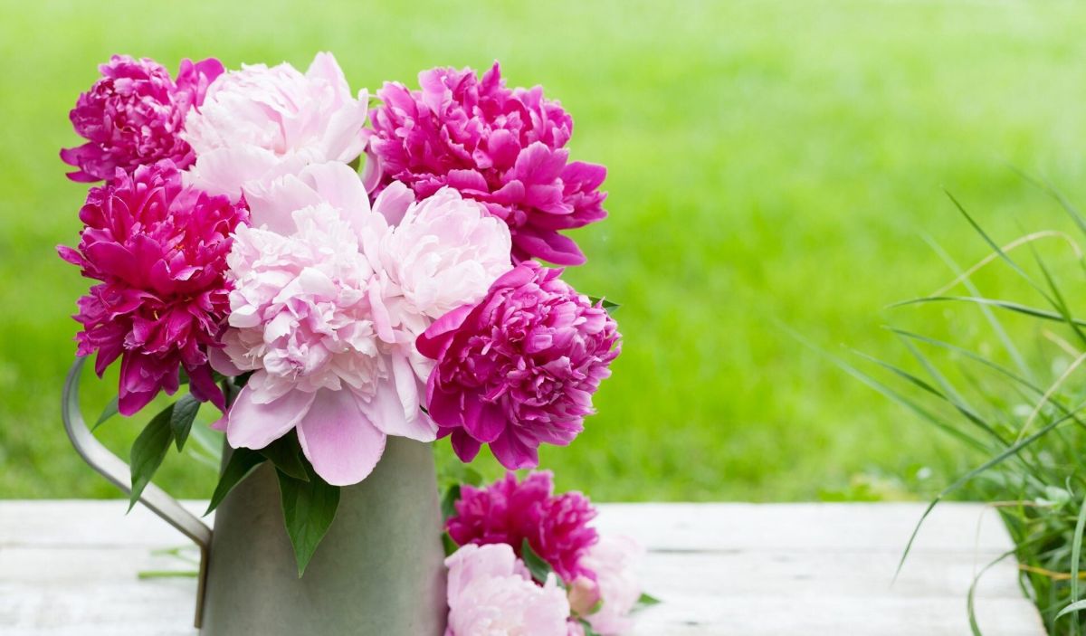 Choisissez le bouquet parfait pour embellir votre intérieur