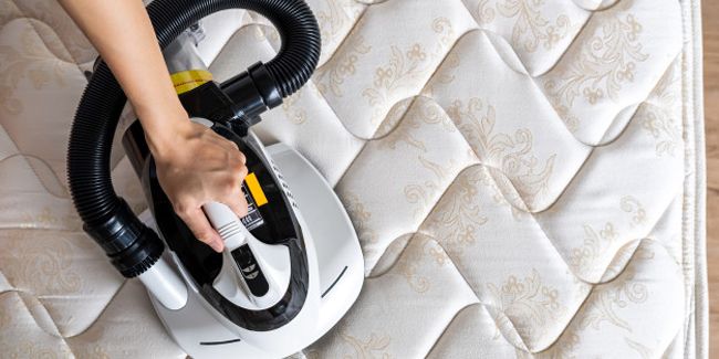 Comment lutter contre les acariens dans votre maison ?