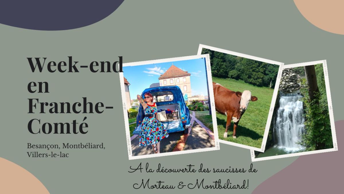 découverte culinaire en franche-comté : les momos revisités aux saveurs de montbéliard