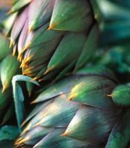 Délicieuses artichauts en barigoule : la recette dévoilée