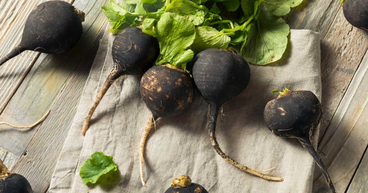 Les bienfaits du radis noir, un légume détox