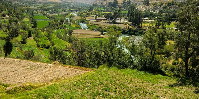Comprendre la conversion des hectares en mètres carrés : le guide essentiel
