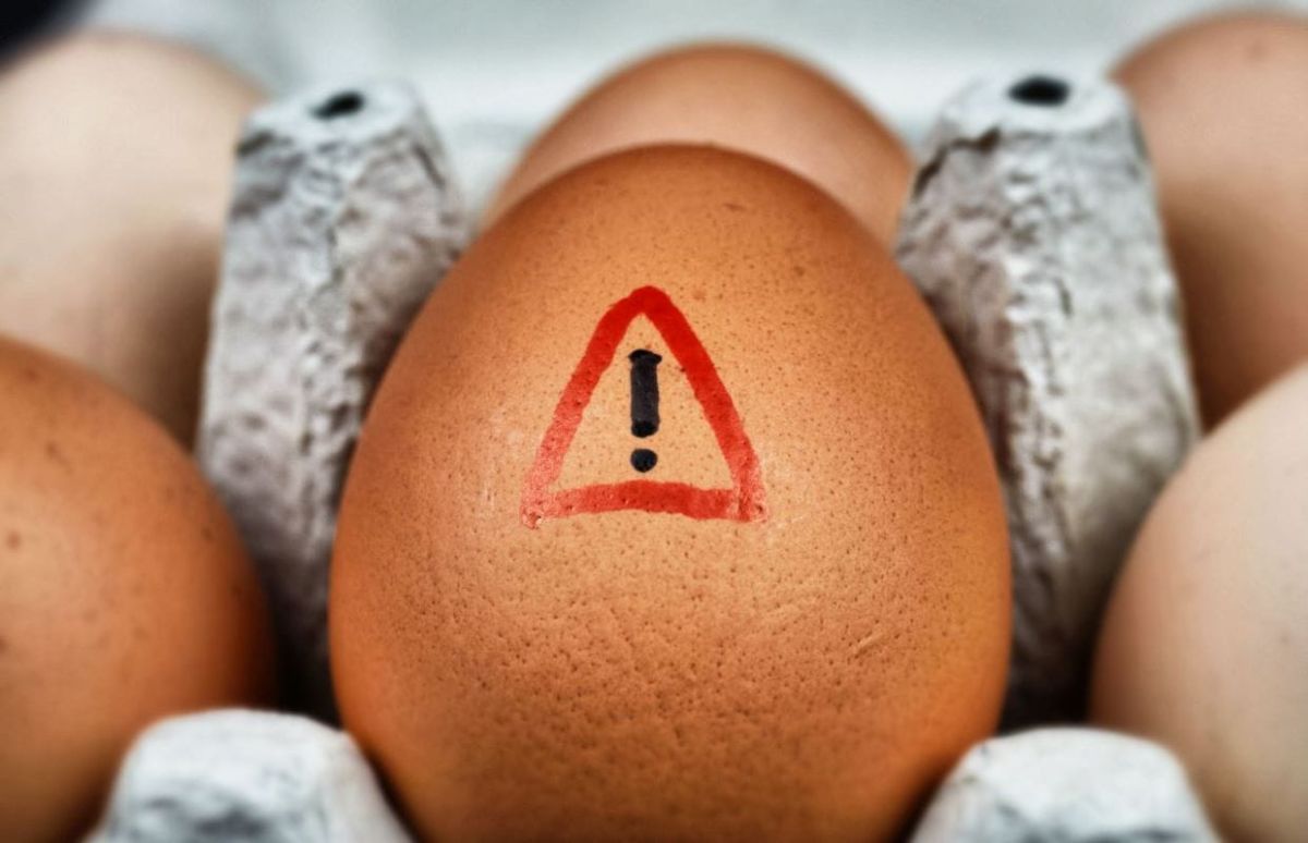Attention aux œufs : les erreurs de conservation qui mettent votre santé en péril