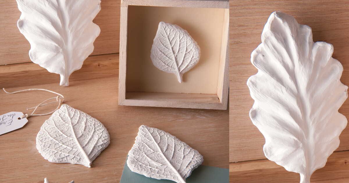 Des feuilles moulées et modelées