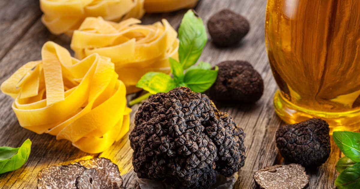 La truffe noire, une délicatesse envoûtante