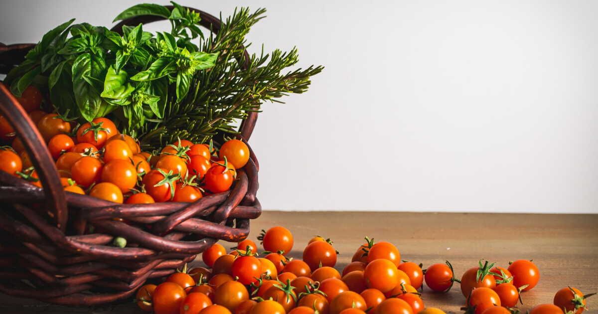 Réussir ses conserves de sauce tomate : astuces infaillibles à découvrir