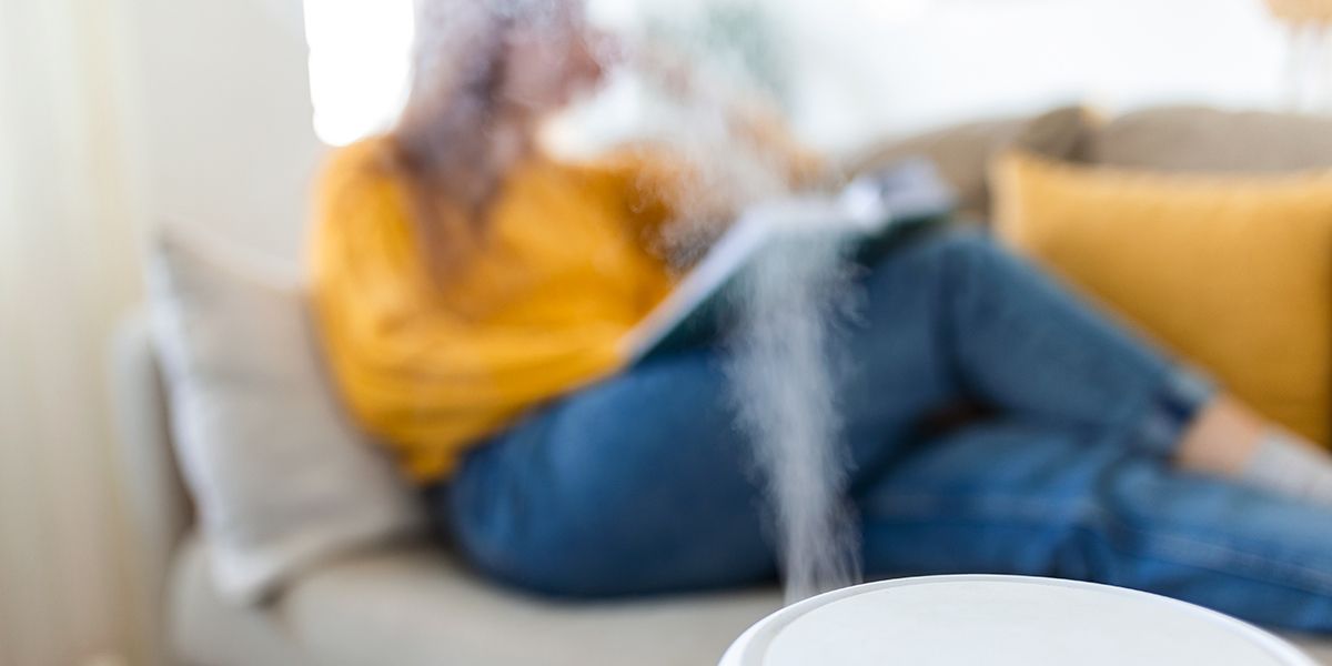 Des solutions simples pour humidifier votre intérieur