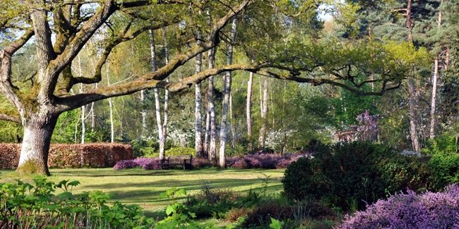 Arboretum des Grandes Bruyères à Ingrannes – Loiret (45)