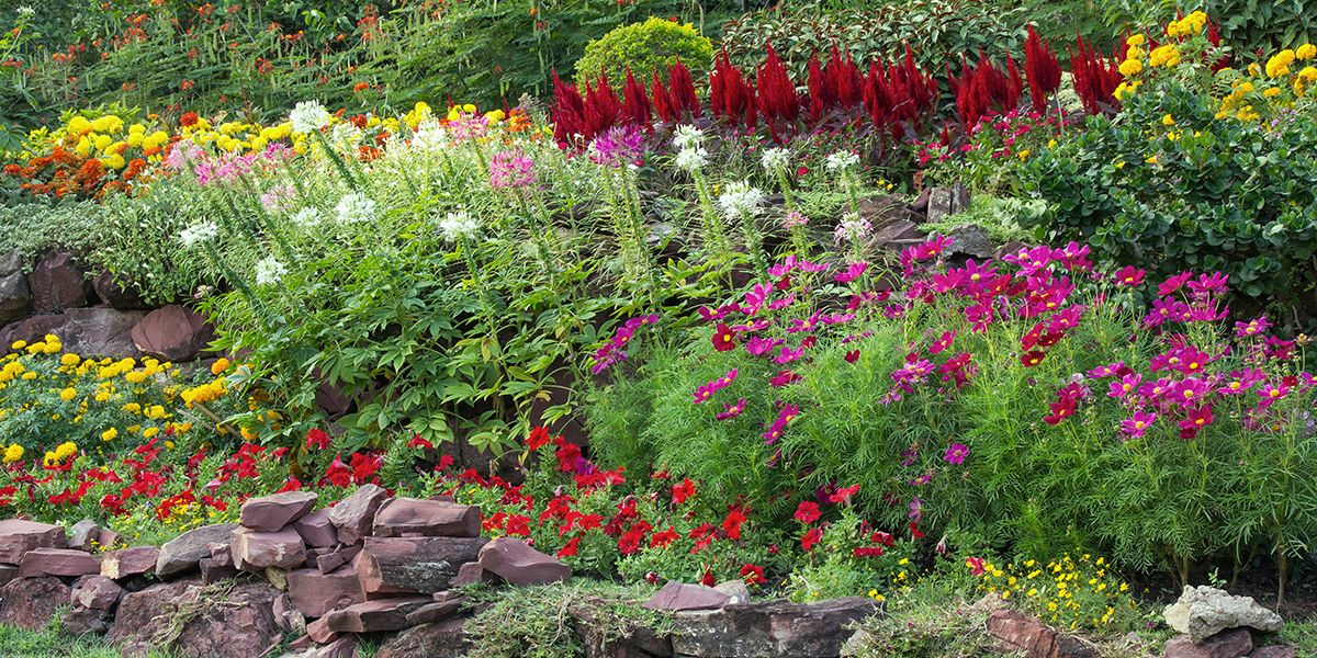 Les erreurs à éviter pour un parterre de fleurs réussie