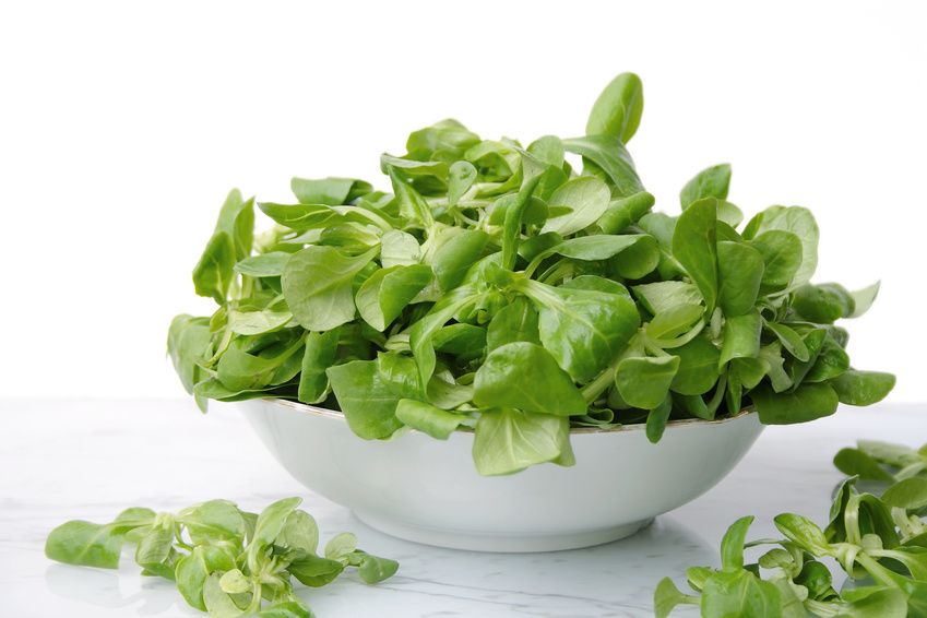 Minceur : découvrez les bienfaits de la mâche, votre alliée santé