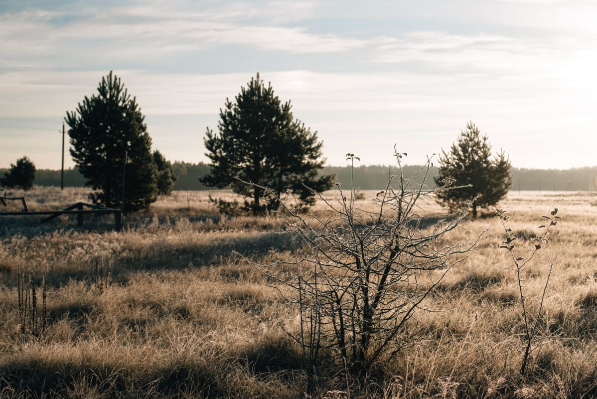 L'hiver 2025 : un bouleversement climatique en vue