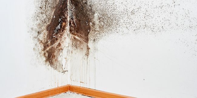 10 astuces pour lutter contre l'humidité chez soi