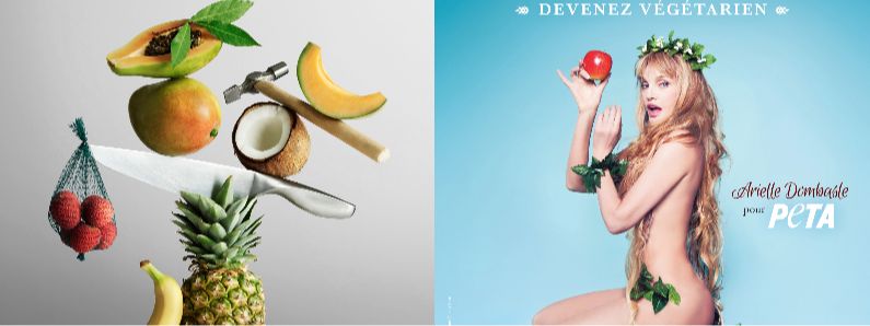 L'engagement surprenant d'Arielle Dombasle pour un végétarisme éthique