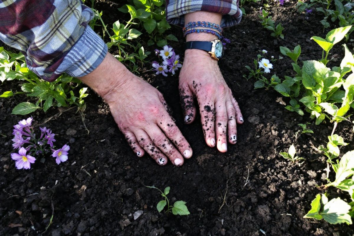 découvrez la texture de votre sol avant de planter : le test essentiel des jardiniers