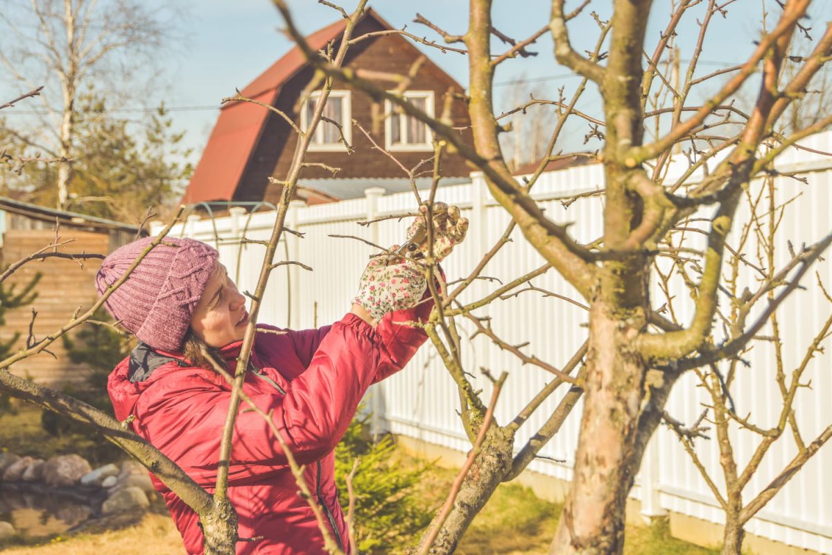 Novembre au jardin : les dates clés pour préparer l'hiver