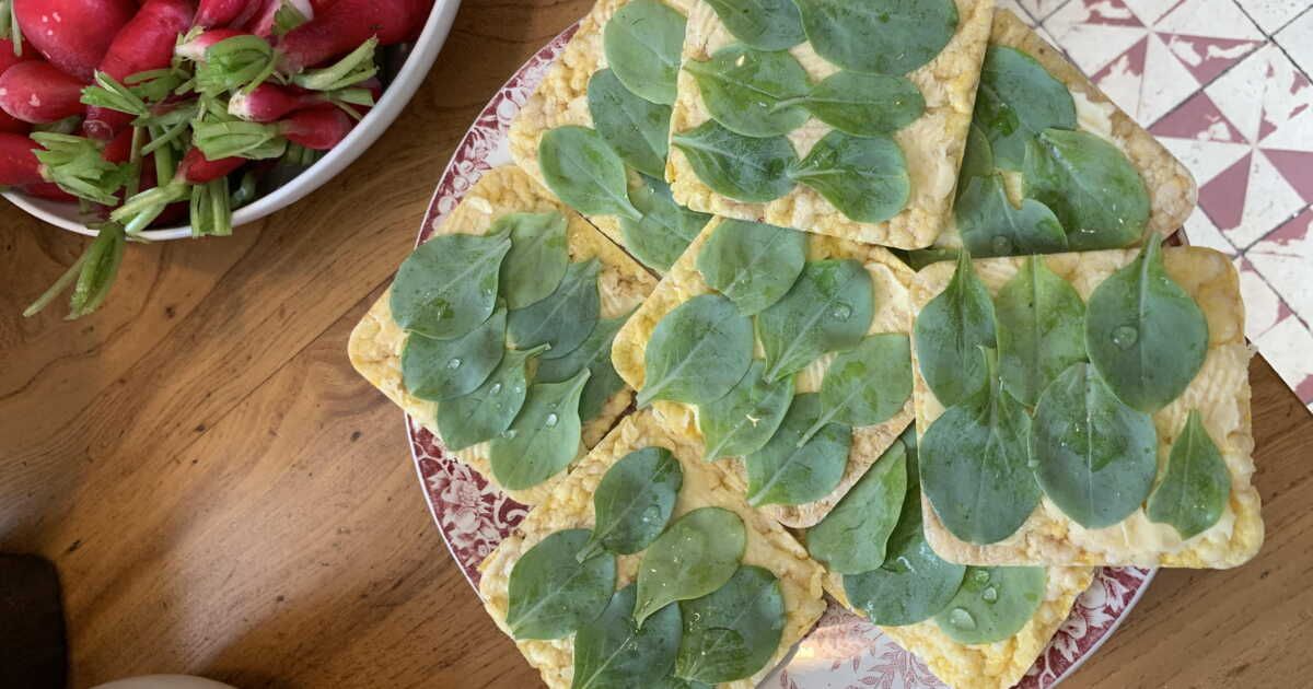 Découvrez cette plante au goût d’huître : l'apéritif végétarien idéal