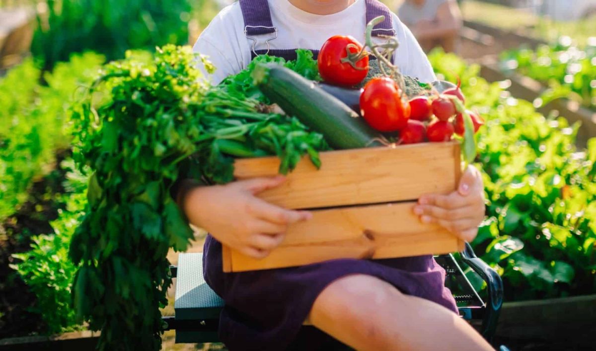 secrets d'un potager florissant : pourquoi changer l'emplacement de vos légumes fait toute la différence