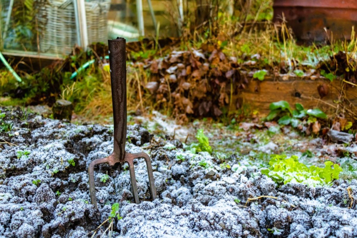 Préparez votre jardin pour l'hiver : les astuces des experts