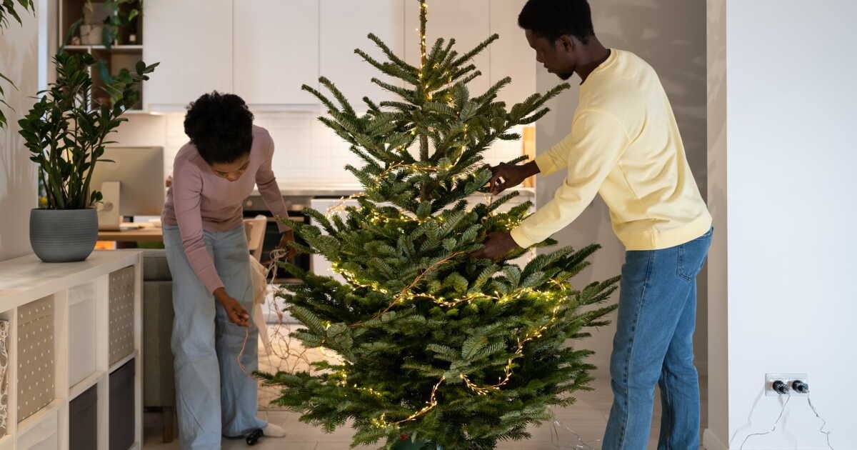 5 conseils pour préserver votre sol en installant un sapin de Noël chez vous