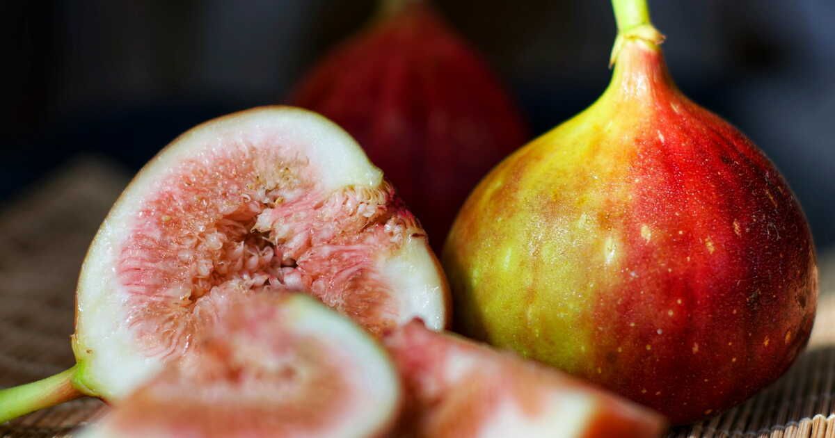 l'art de l'arrosage du figuier : conseils pour une récolte abondante