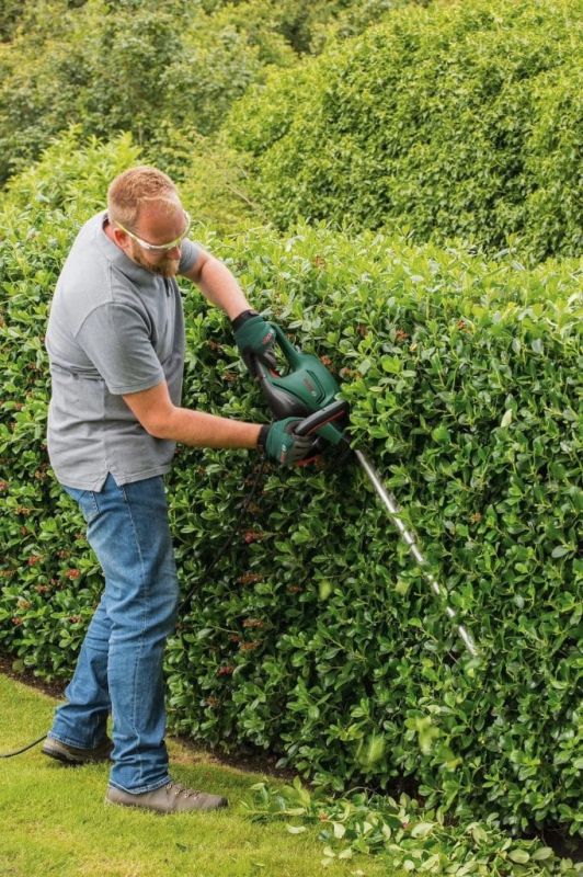 Transformez votre jardin avec le taille-haie électrique Bosch à prix mini
