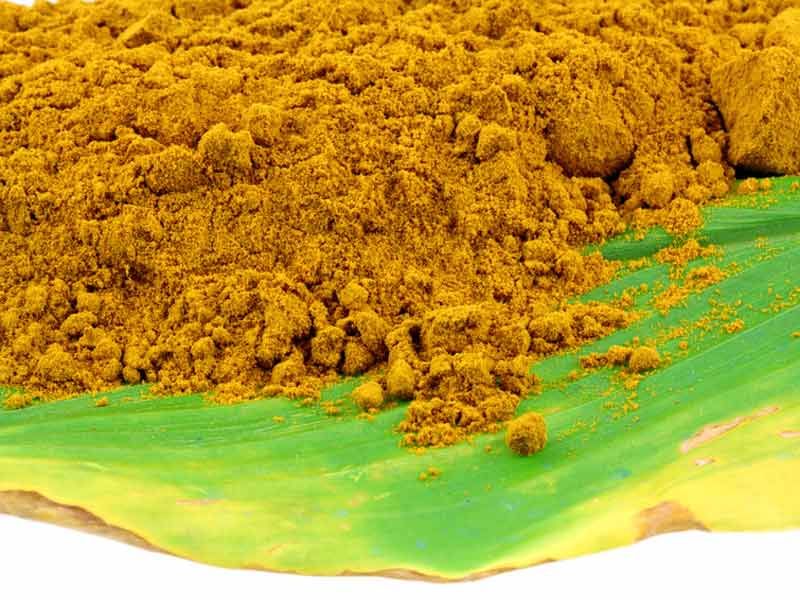 Les alliés santé du curcuma : un duo gagnant pour booster votre bien-être