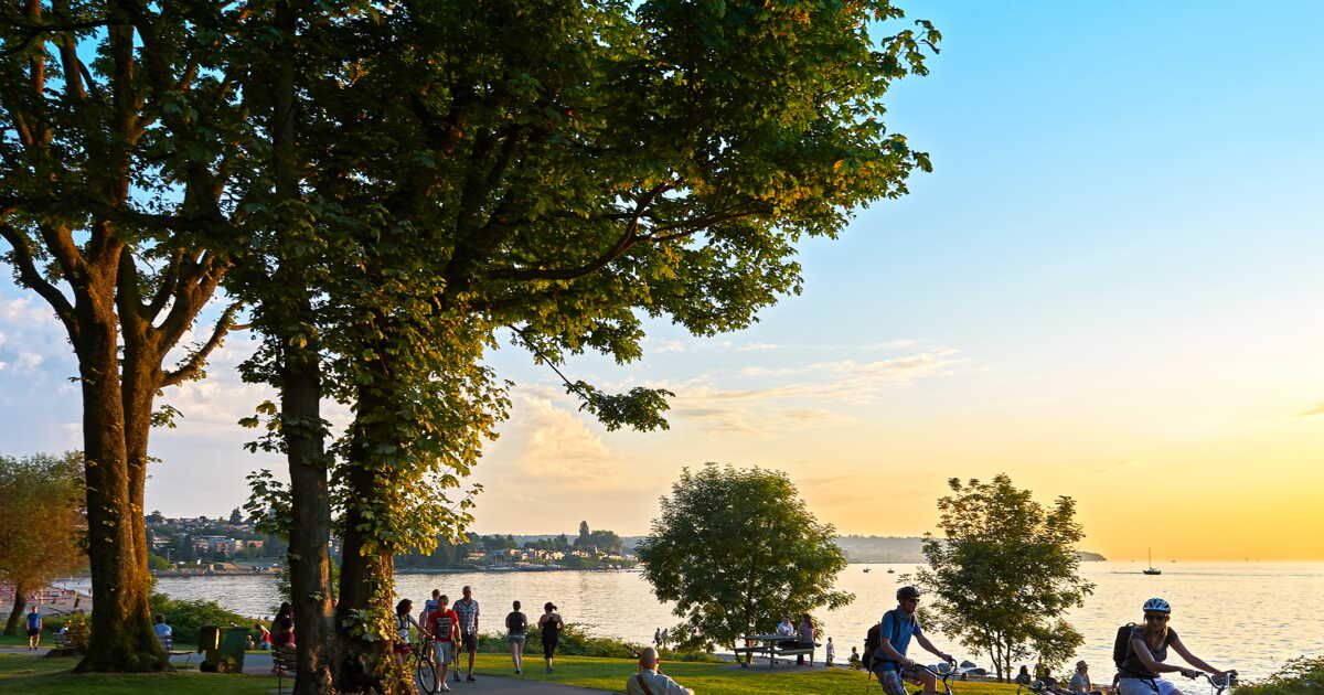 La lutte pour sauver les arbres urbains face à la crise climatique