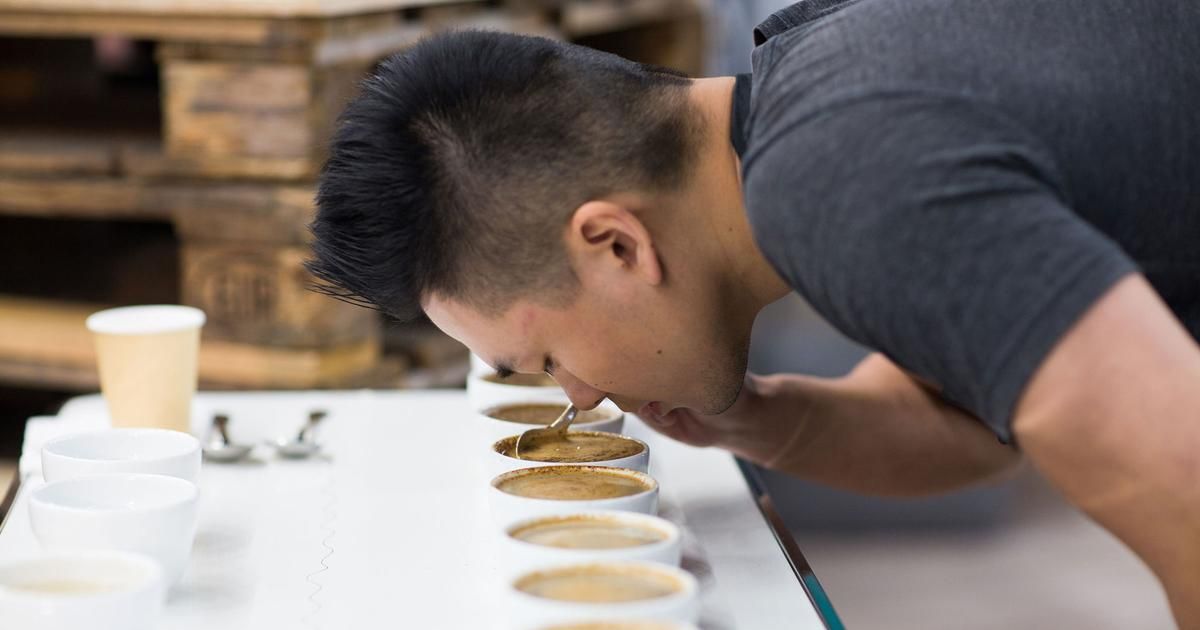 Découvrir le cupping : l'art de savourer le café comme un expert