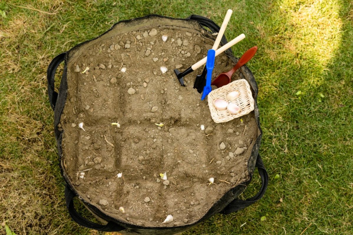 Révolutionner votre jardinage : adoptez le sac de plantation
