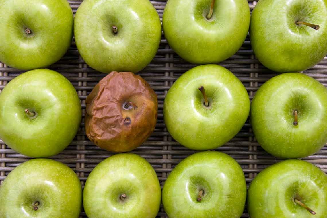 les secrets pour garder vos fruits frais plus longtemps