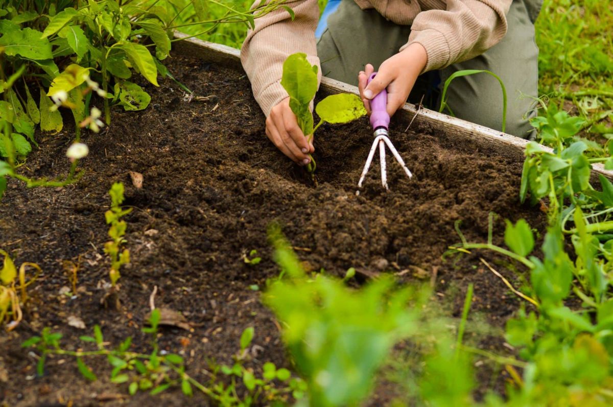 Printemps au jardin : les erreurs à éviter pour une saison réussie