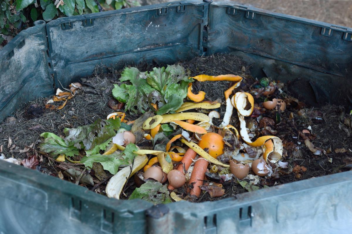 Les secrets d'un compost réussi : que mettre et que ne pas mettre