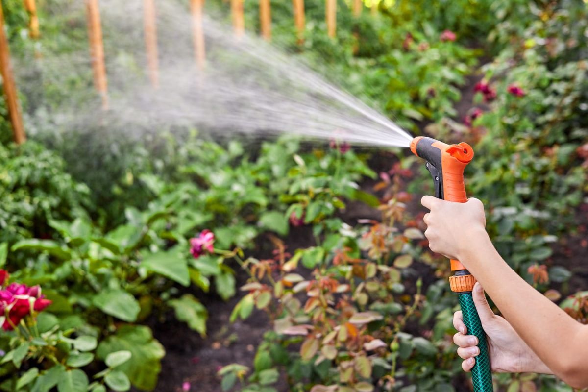 Simplifiez l'arrosage de votre jardin pour partir l'esprit tranquille en vacances