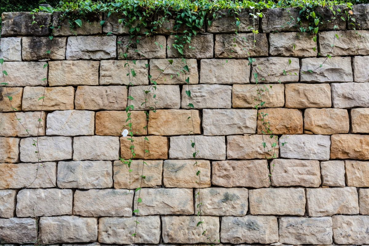 Un mur de séparation : à qui appartient-il vraiment ?