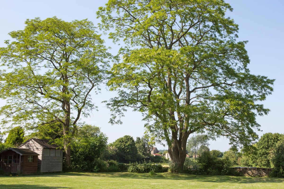 Un impôt méconnu alourdit le coût de vos travaux de jardinage - attention aux surprises