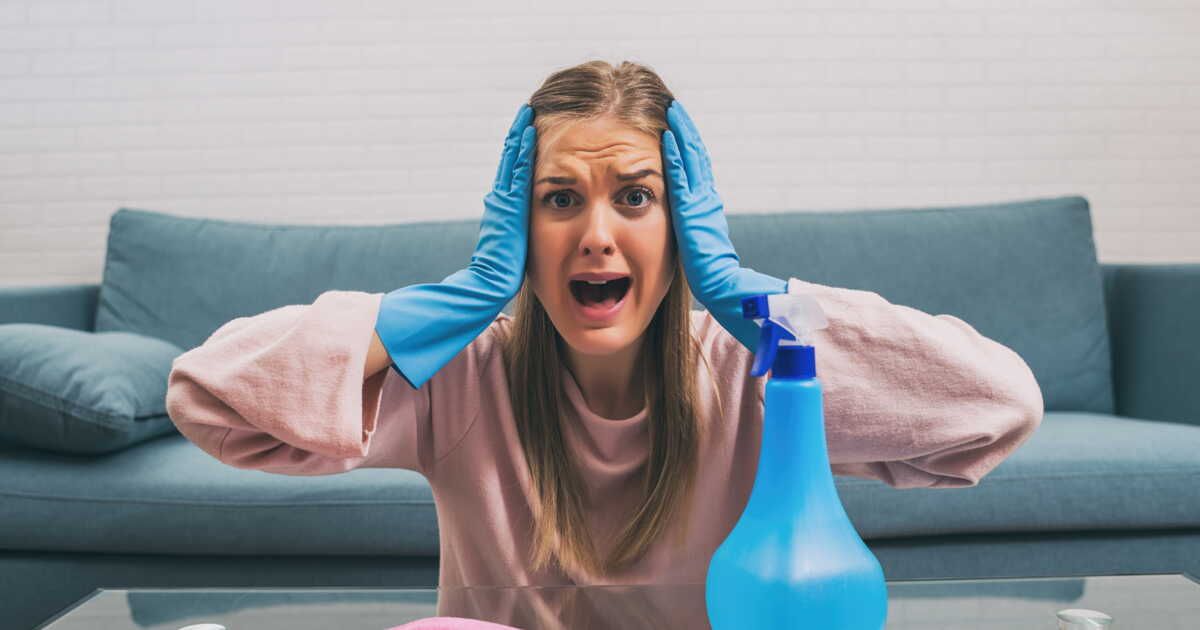 Comment vaincre les punaises de lit : conseils d'un phobique
