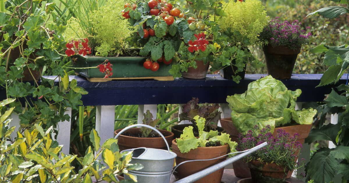 comment protéger votre terrasse des marques de pots de fleurs en 4 étapes