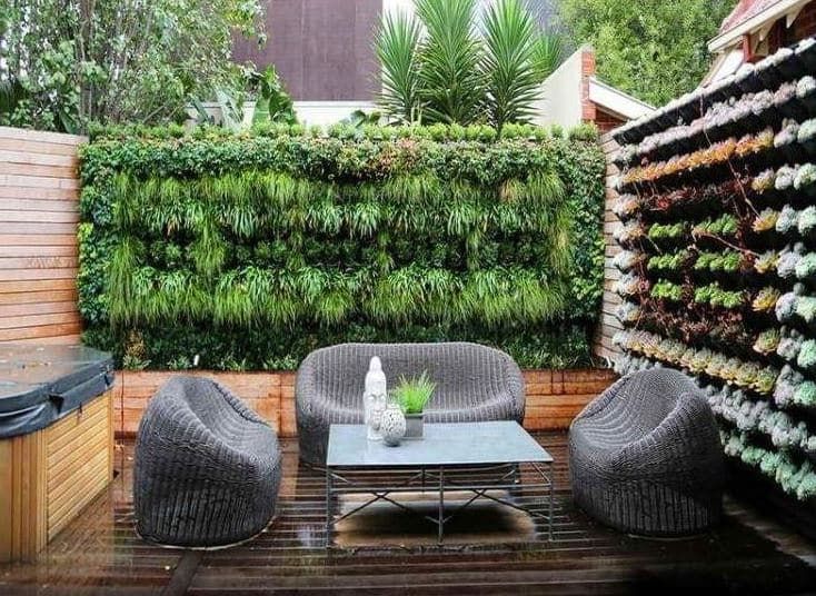 Créer un mur végétal extérieur : guide pratique et astuces
