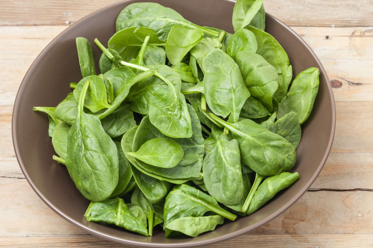 Des pousses d'épinard en sachet : attention aux dangers cachés