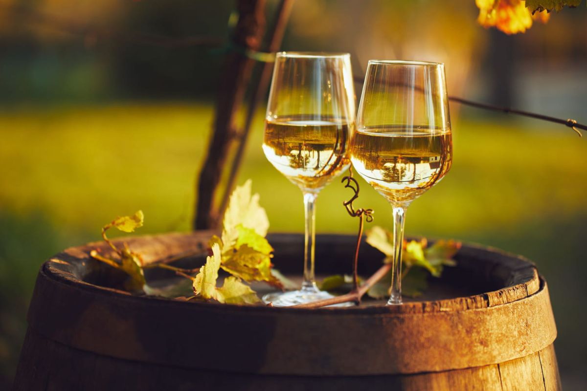 À la découverte du vin jaune